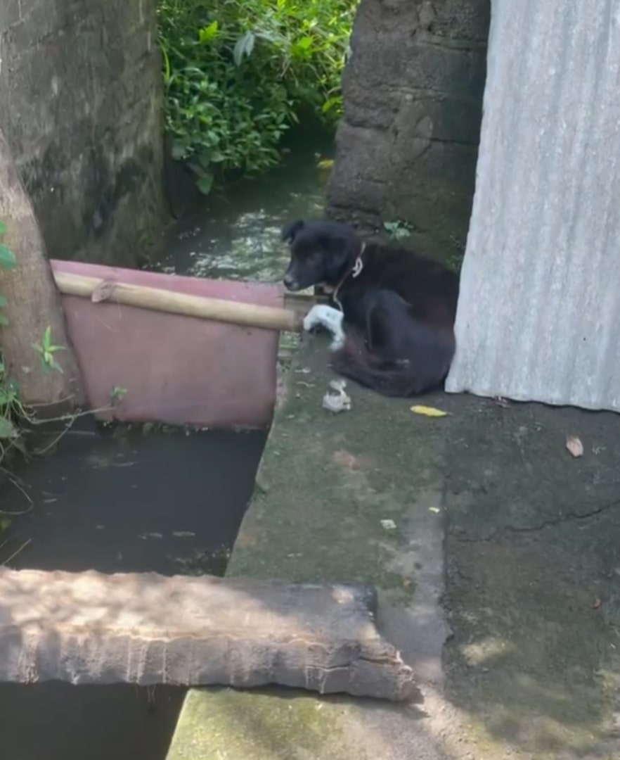 Prue took them both to her home, where s...