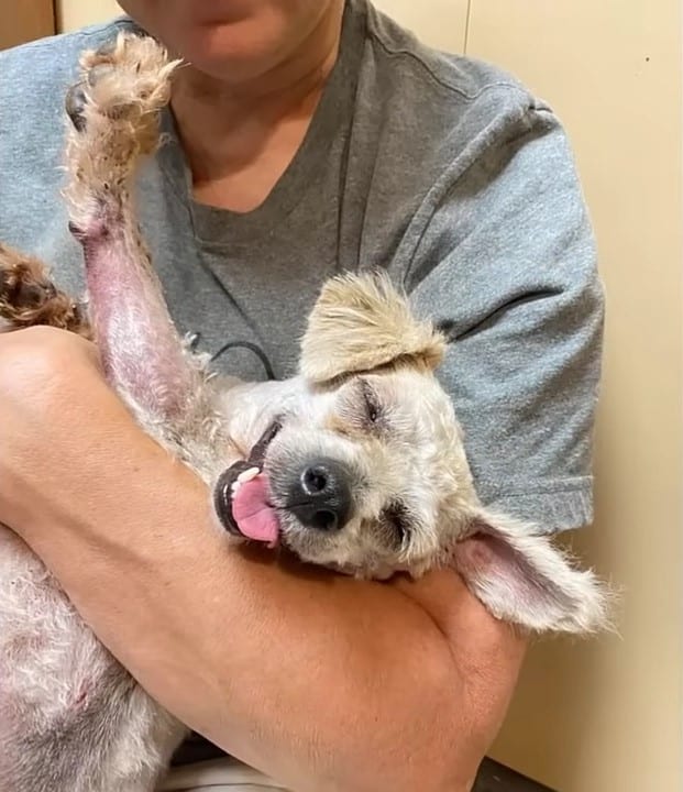 Thanks to their care, Avery flourished....