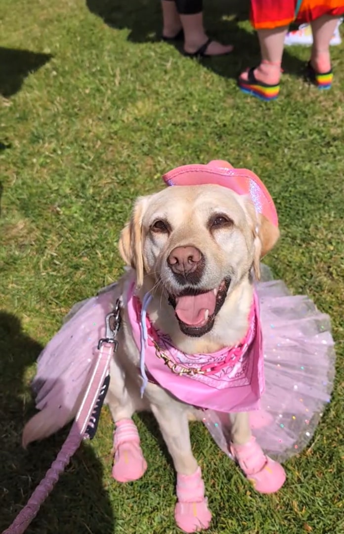 Extra image from article