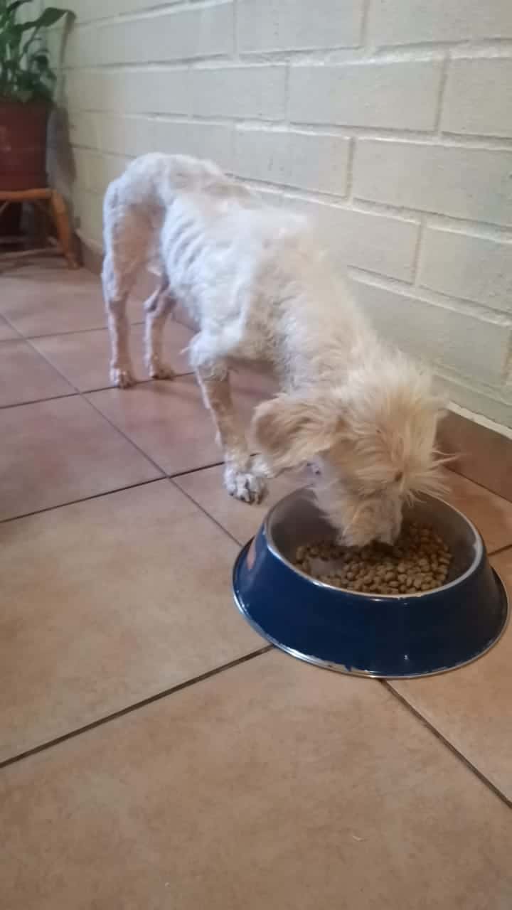 Extra image from article