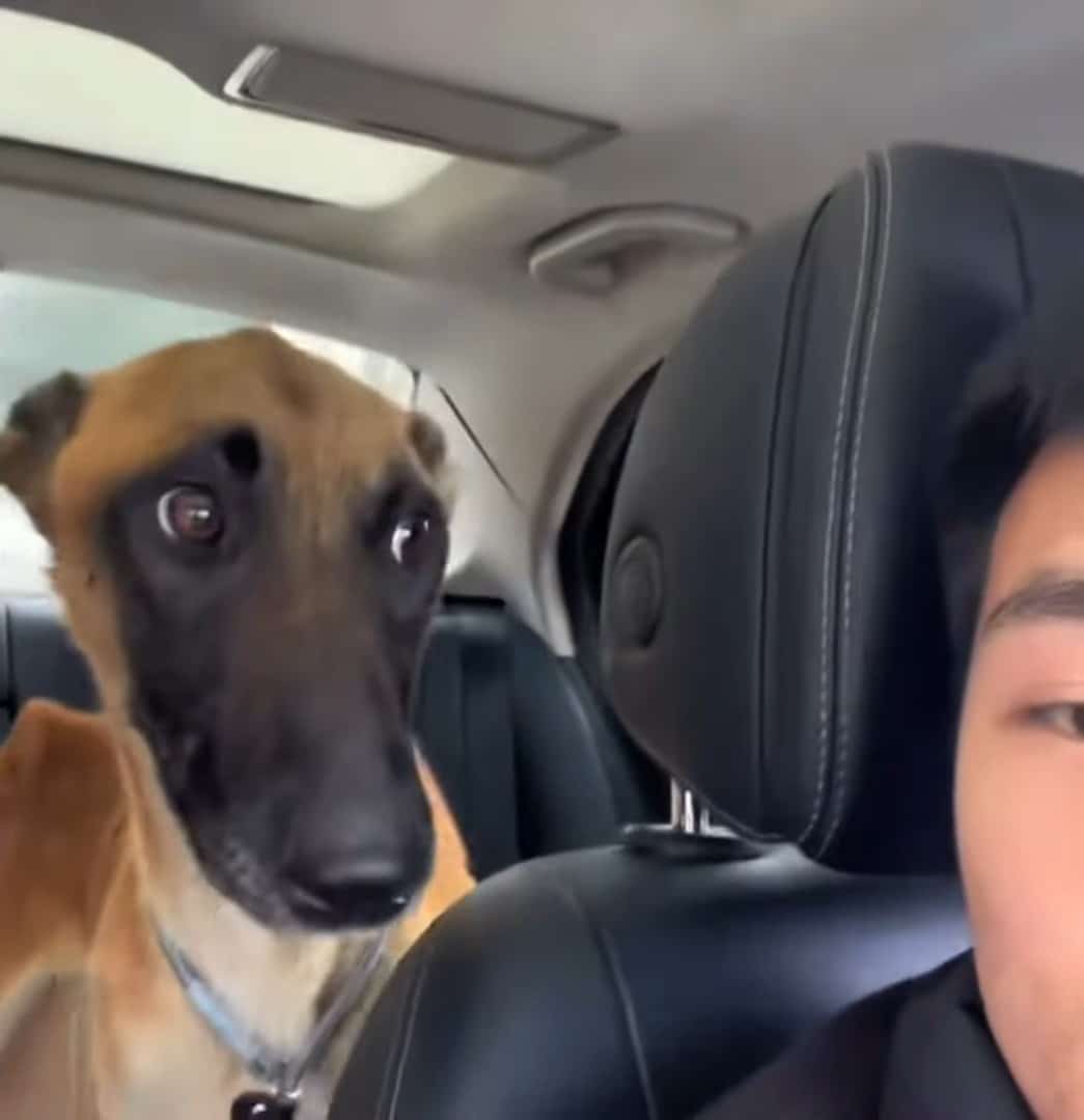 Extra image from article