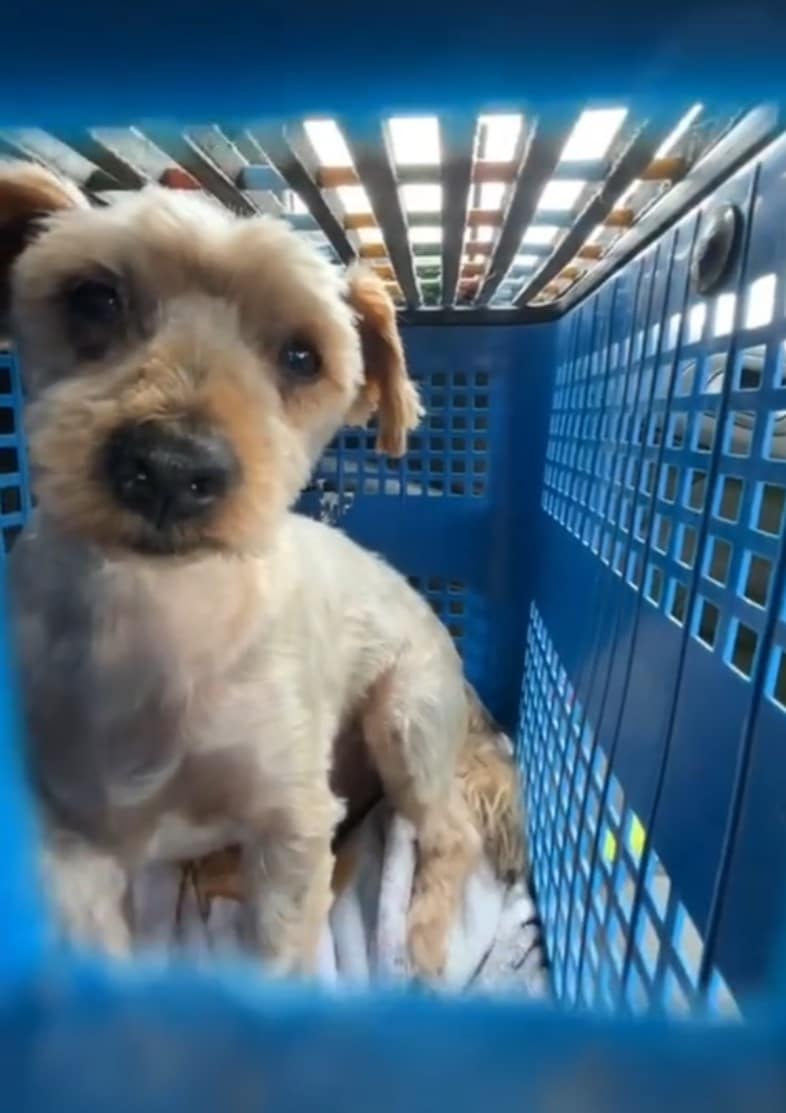 Extra image from article