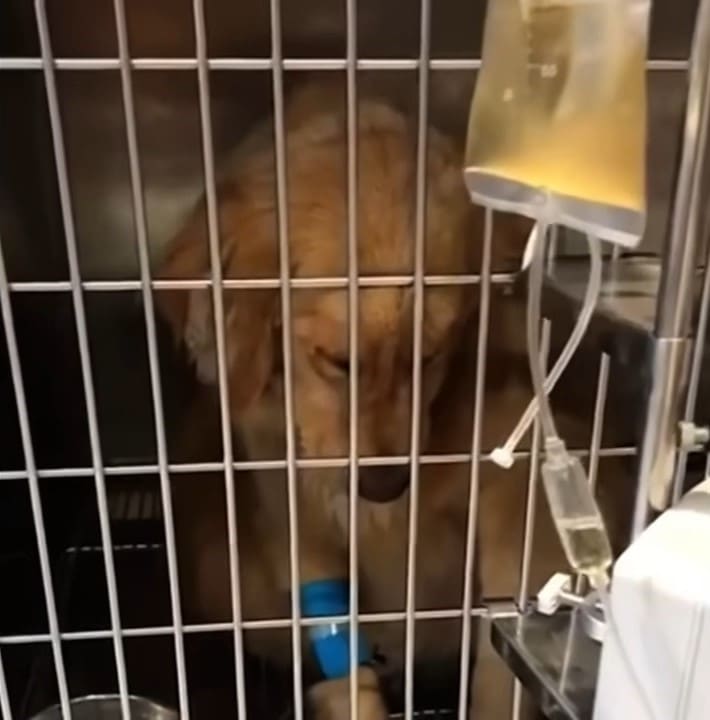 Extra image from article