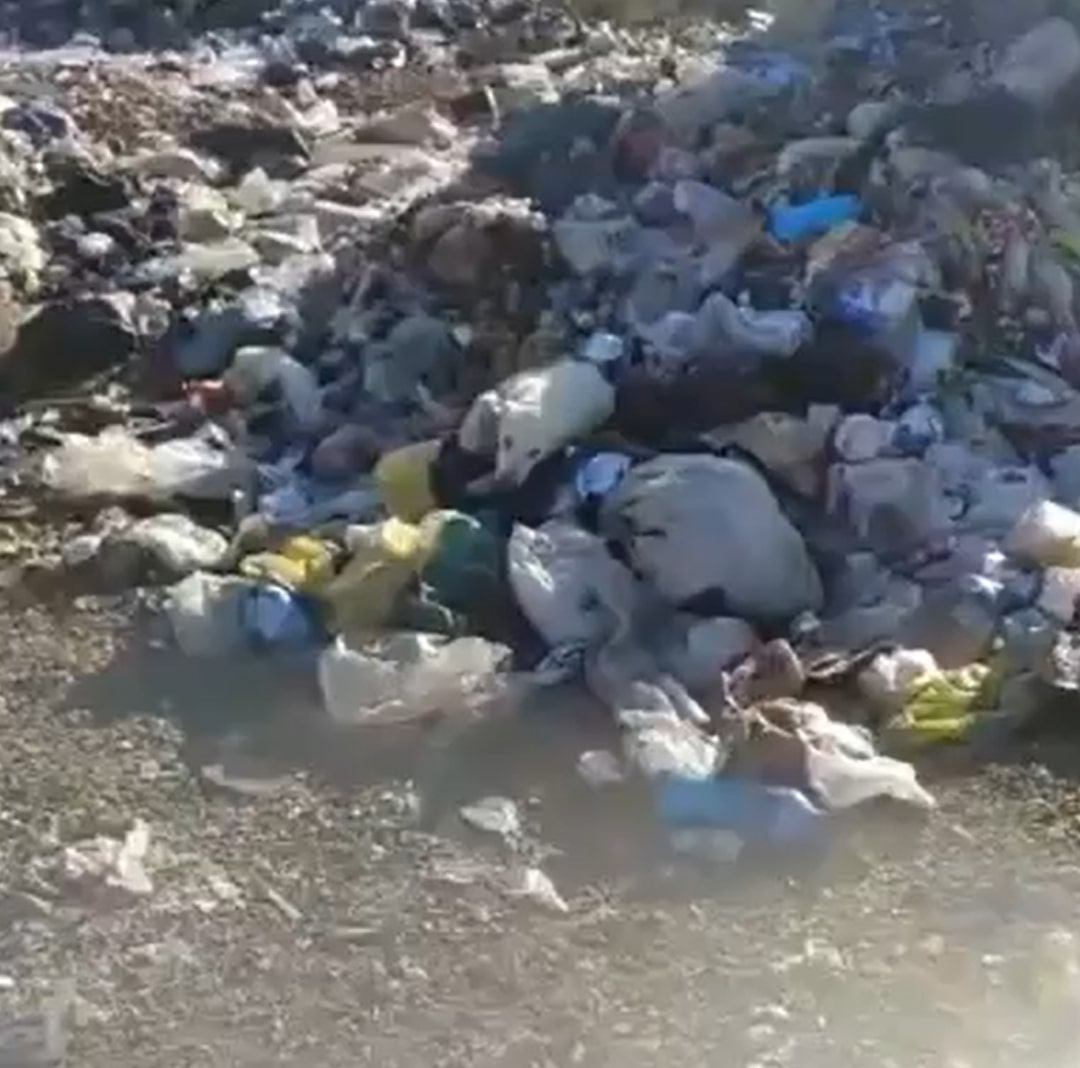 Farewell, dear Lola, you will always be ...