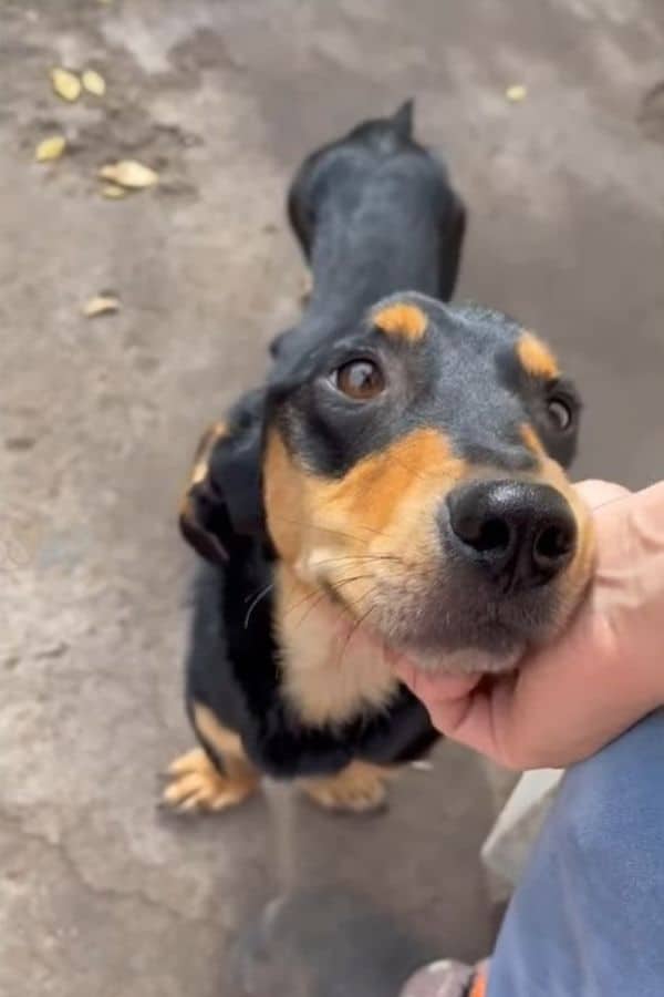 Extra image from article