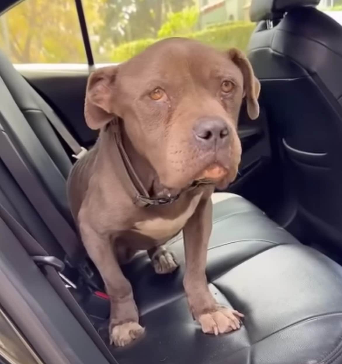 Extra image from article