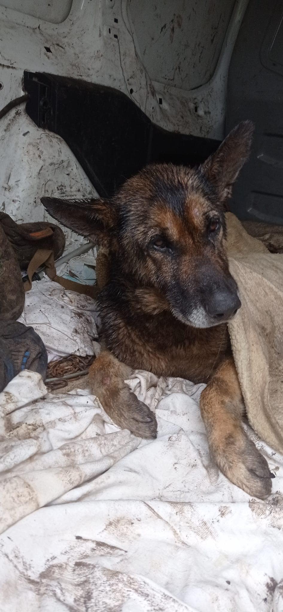 Extra image from article