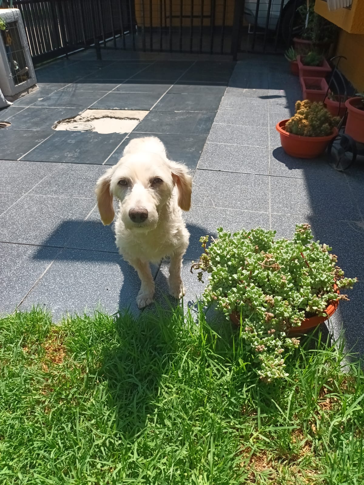 Extra image from article