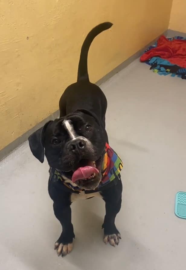 Extra image from article