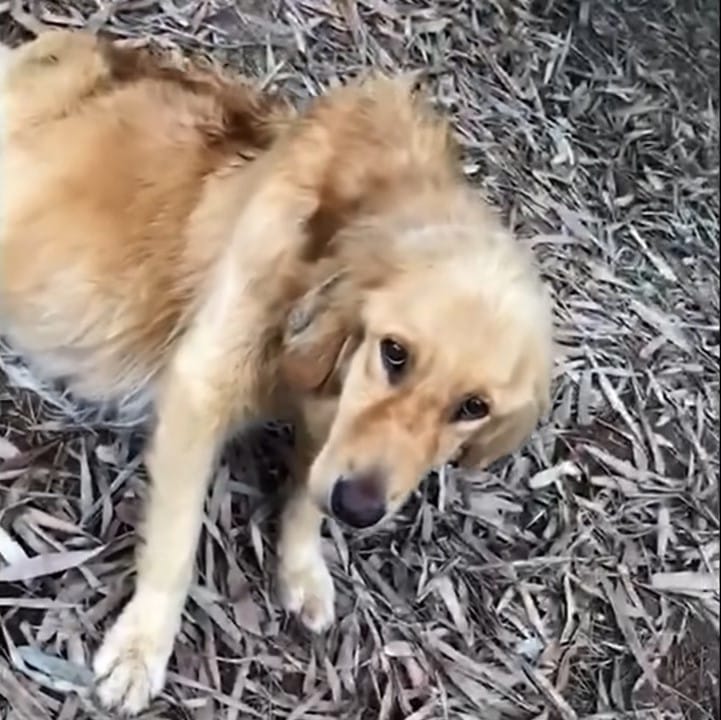 Extra image from article