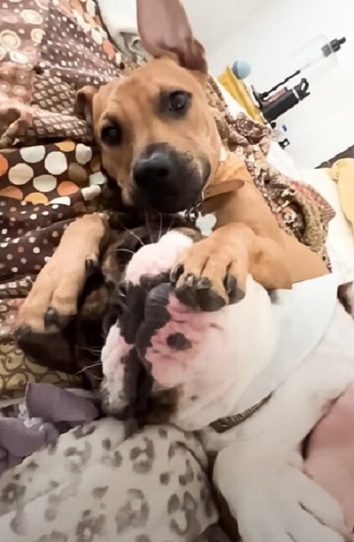 Extra image from article