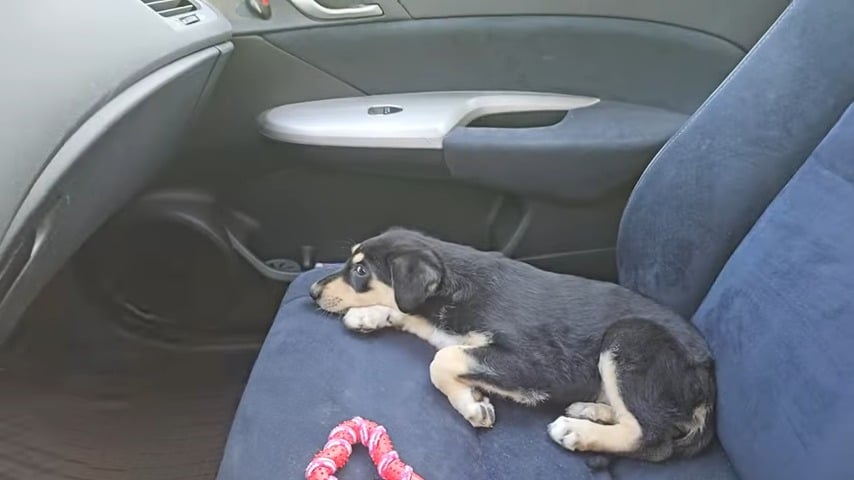 Extra image from article