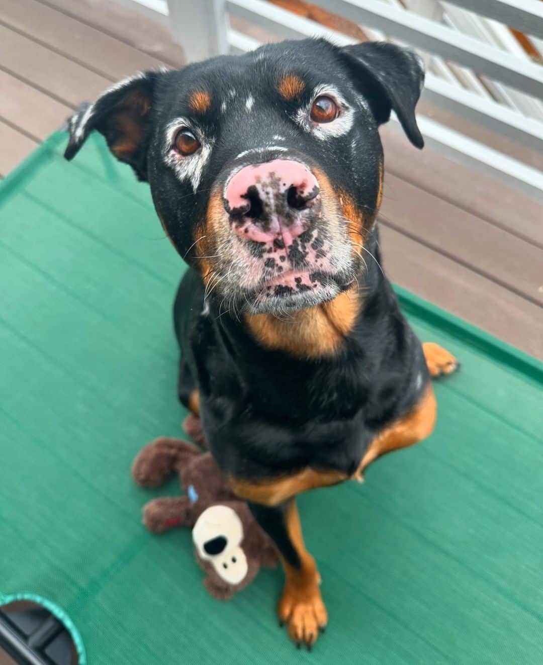 Extra image from article