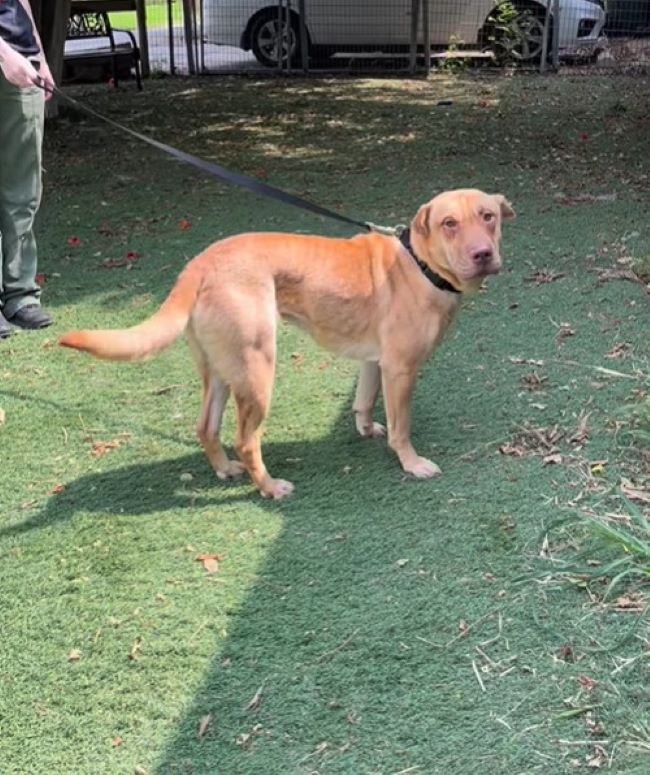 Extra image from article