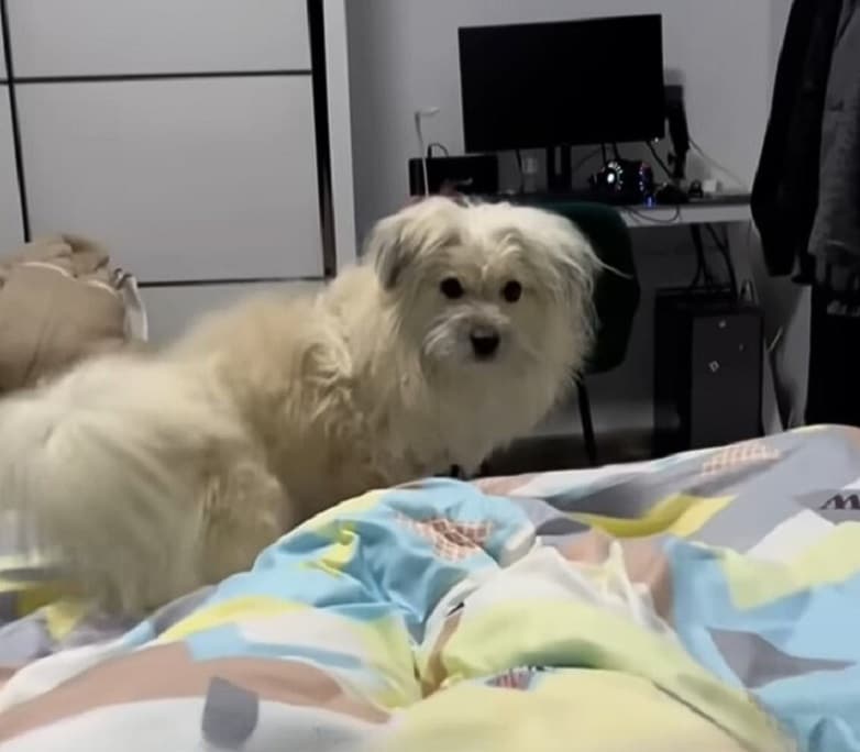 Extra image from article