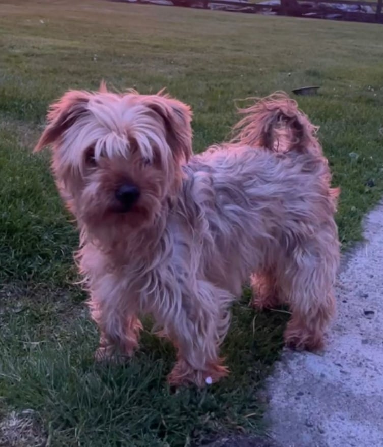 Extra image from article