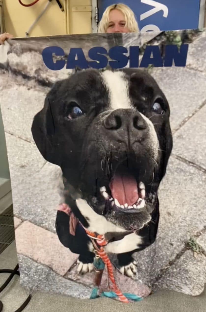 Extra image from article