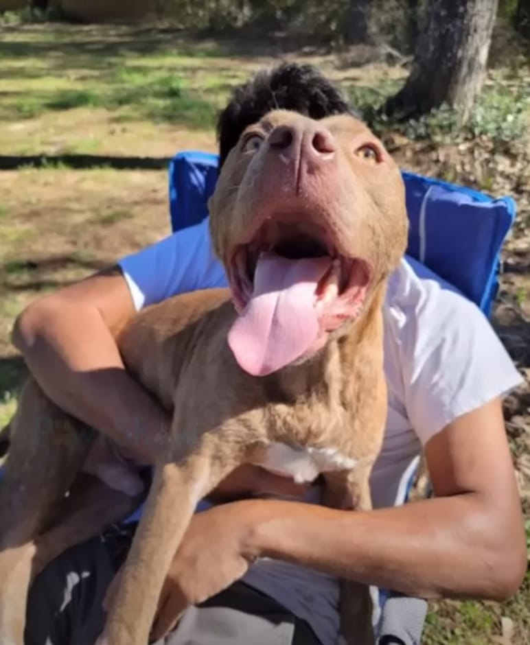 Extra image from article