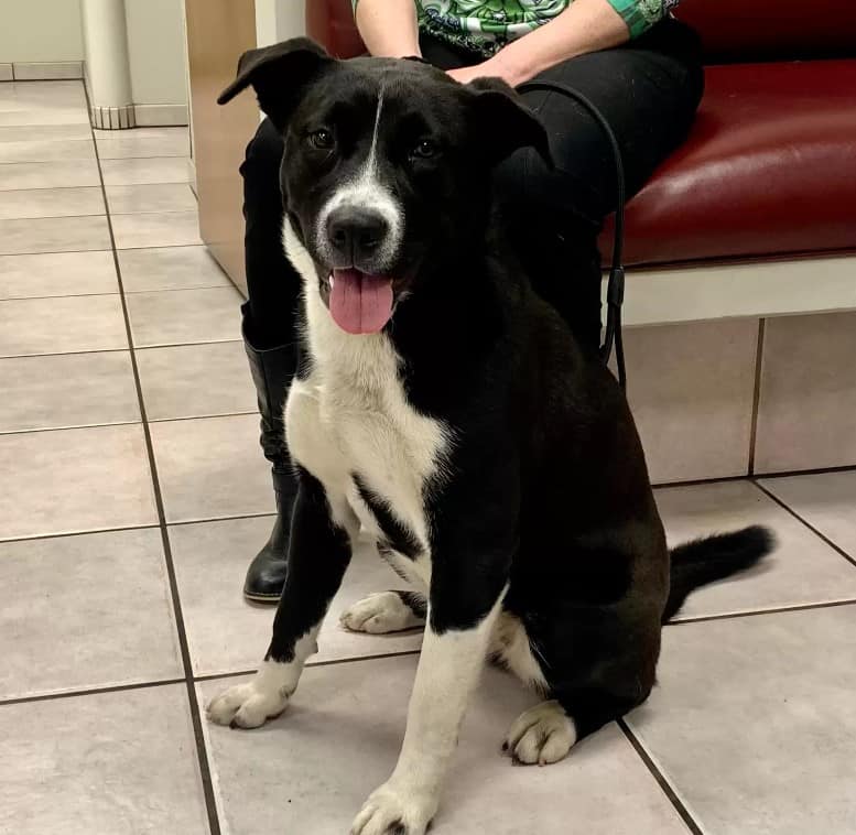 Extra image from article