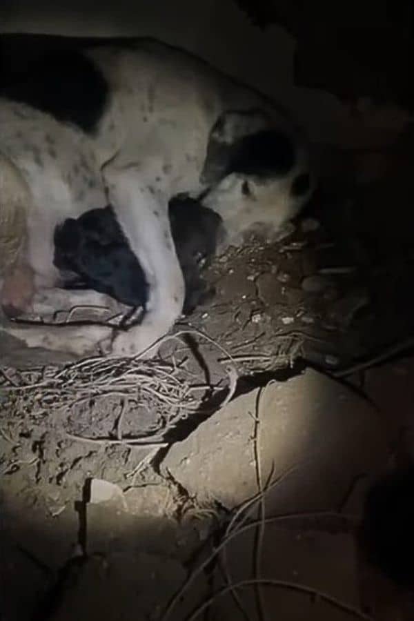 It was through the kindness of these emp...