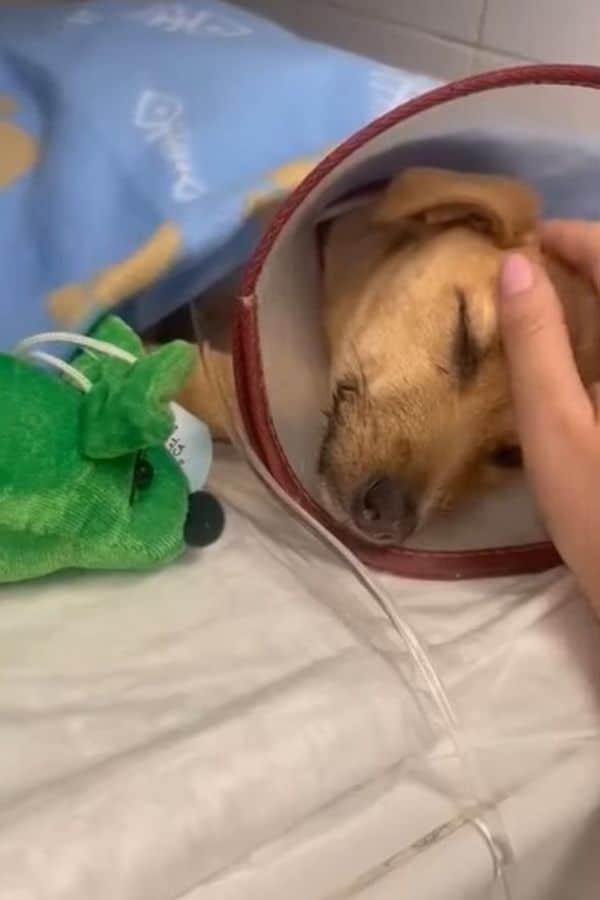 Extra image from article