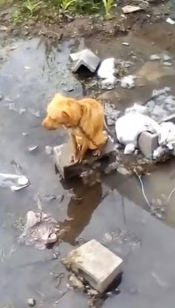 Malala thrived with a hearty appetite, r...