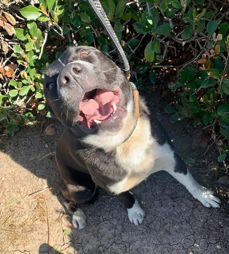 Extra image from article