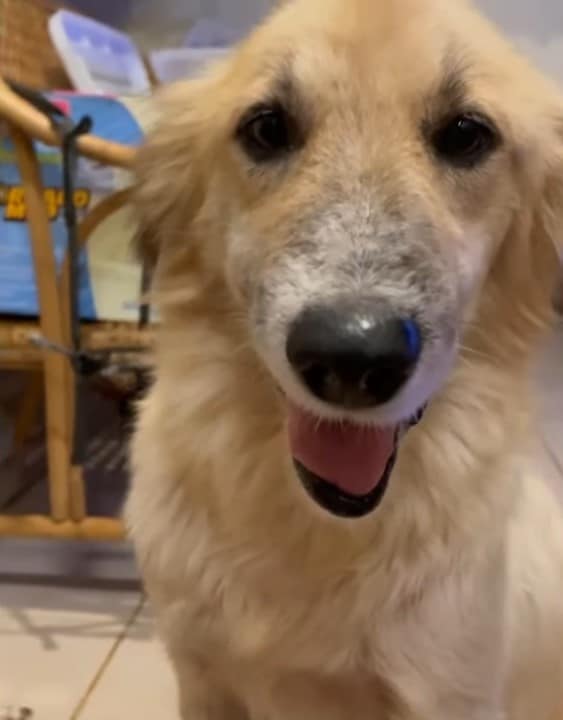 Extra image from article