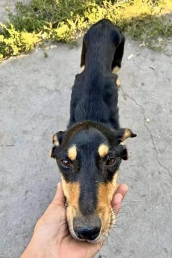 Extra image from article