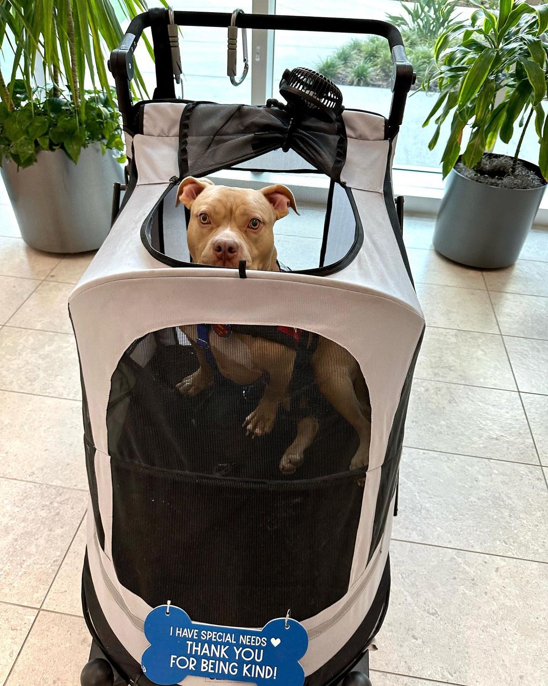 Extra image from article