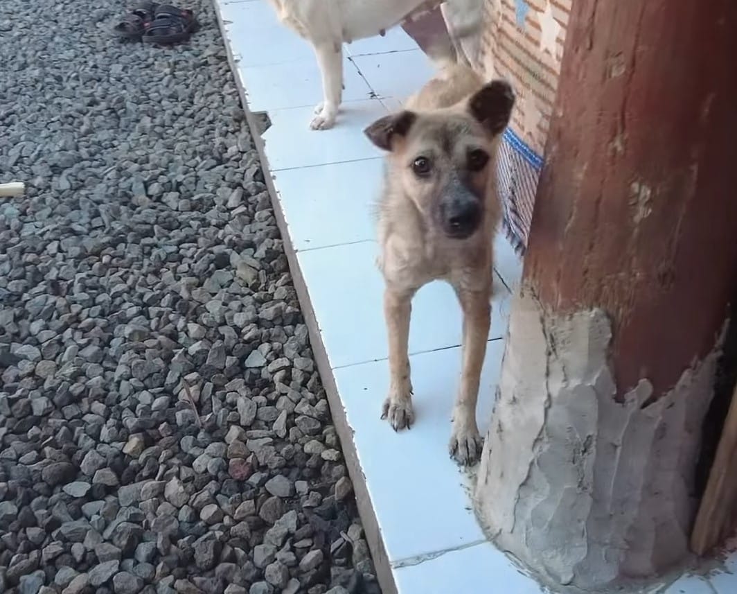 Extra image from article