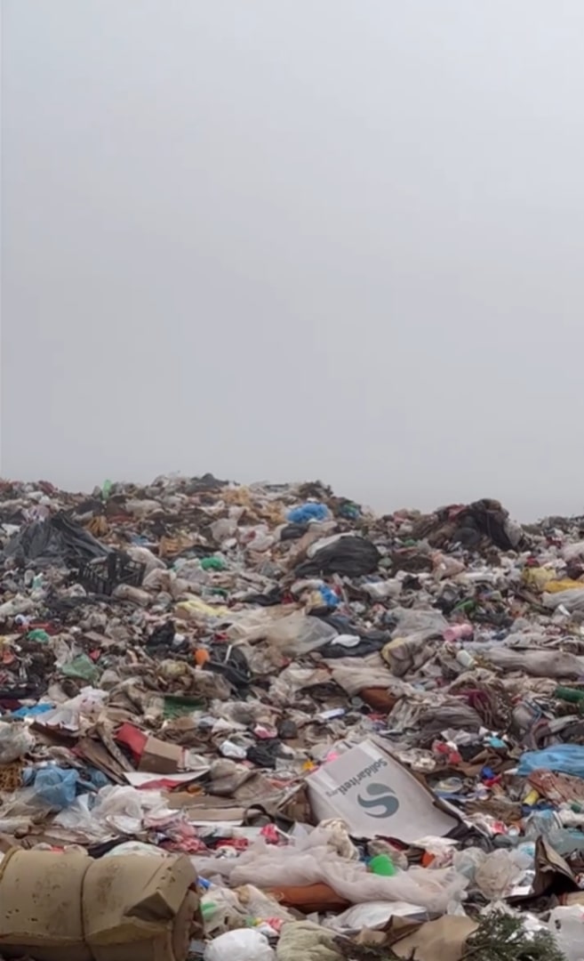 The diagnosis was heartbreaking. Lola su...