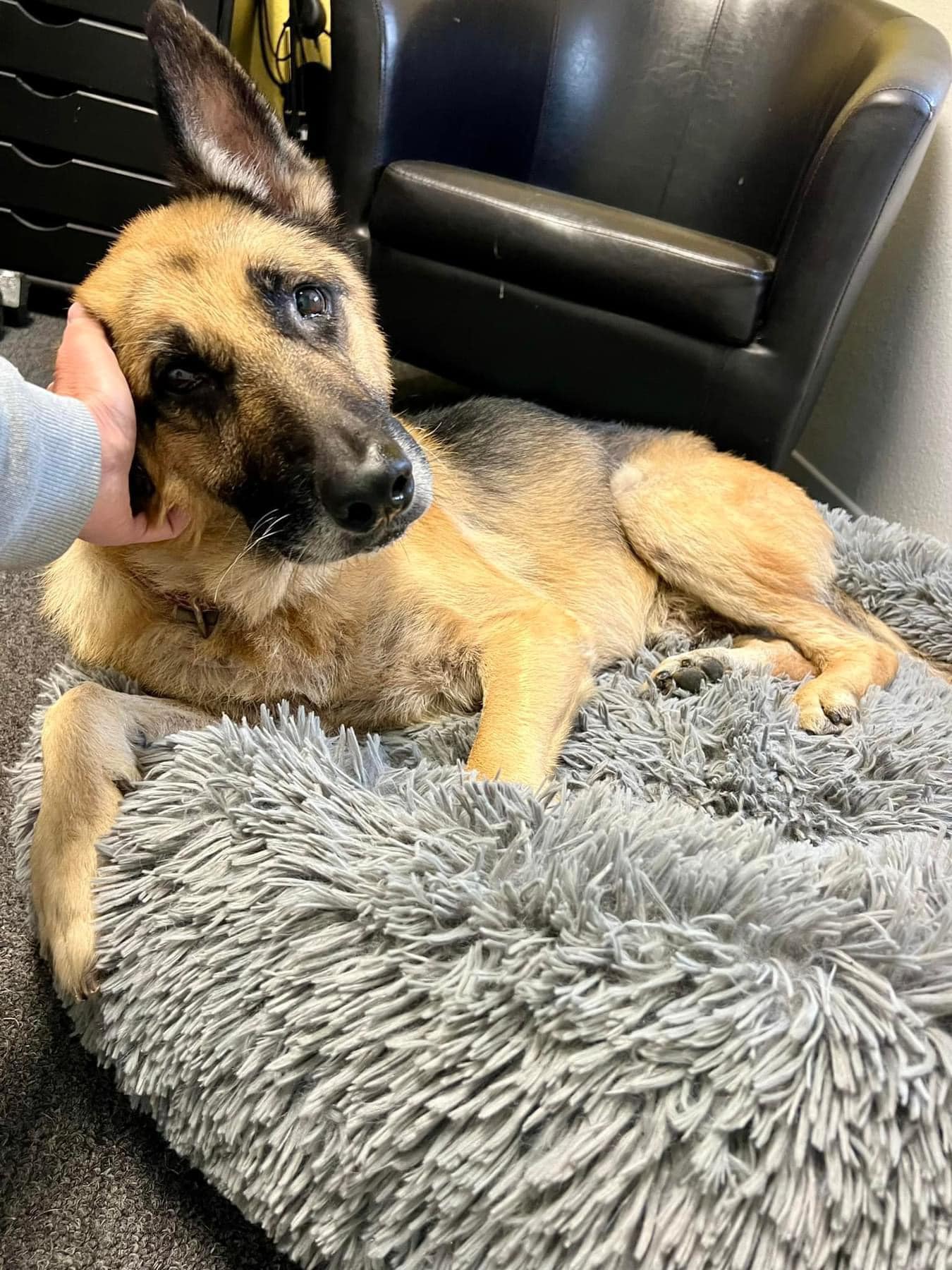 Extra image from article