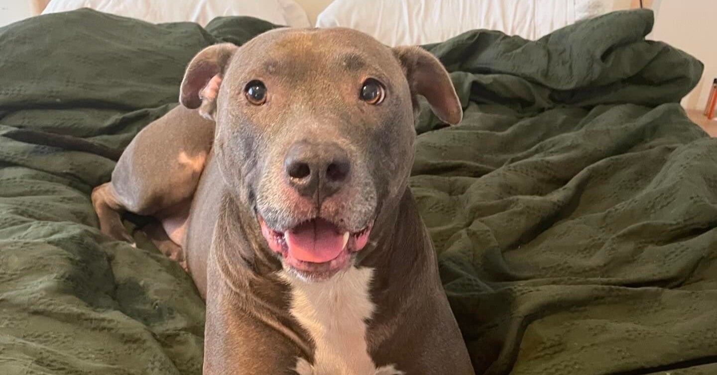 Extra image from article