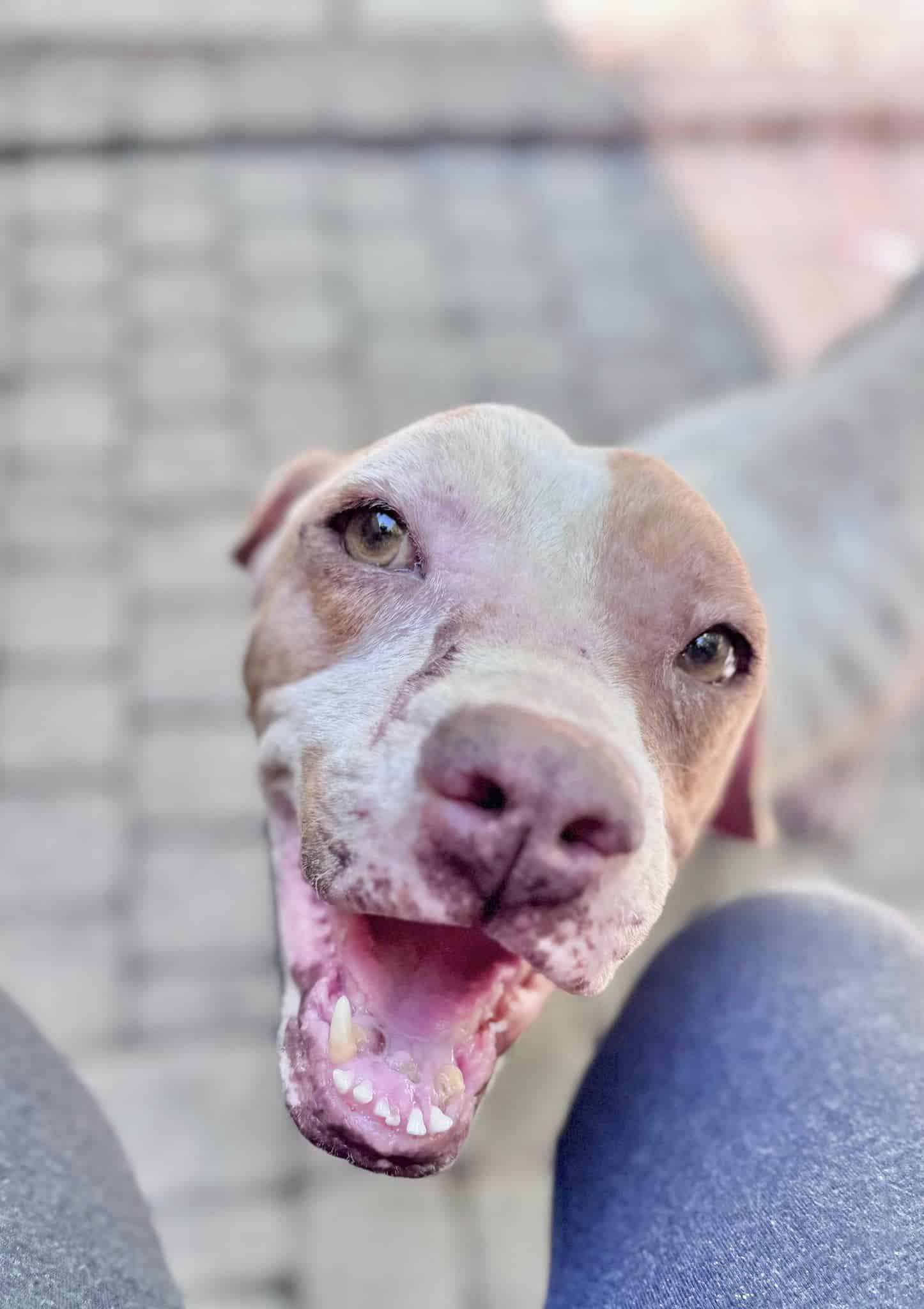 Extra image from article