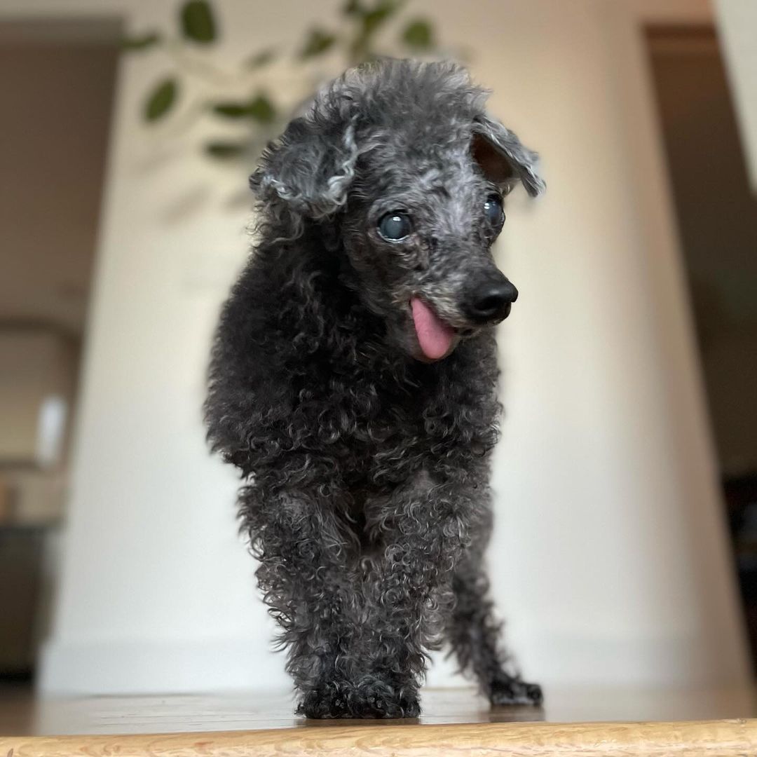 Extra image from article