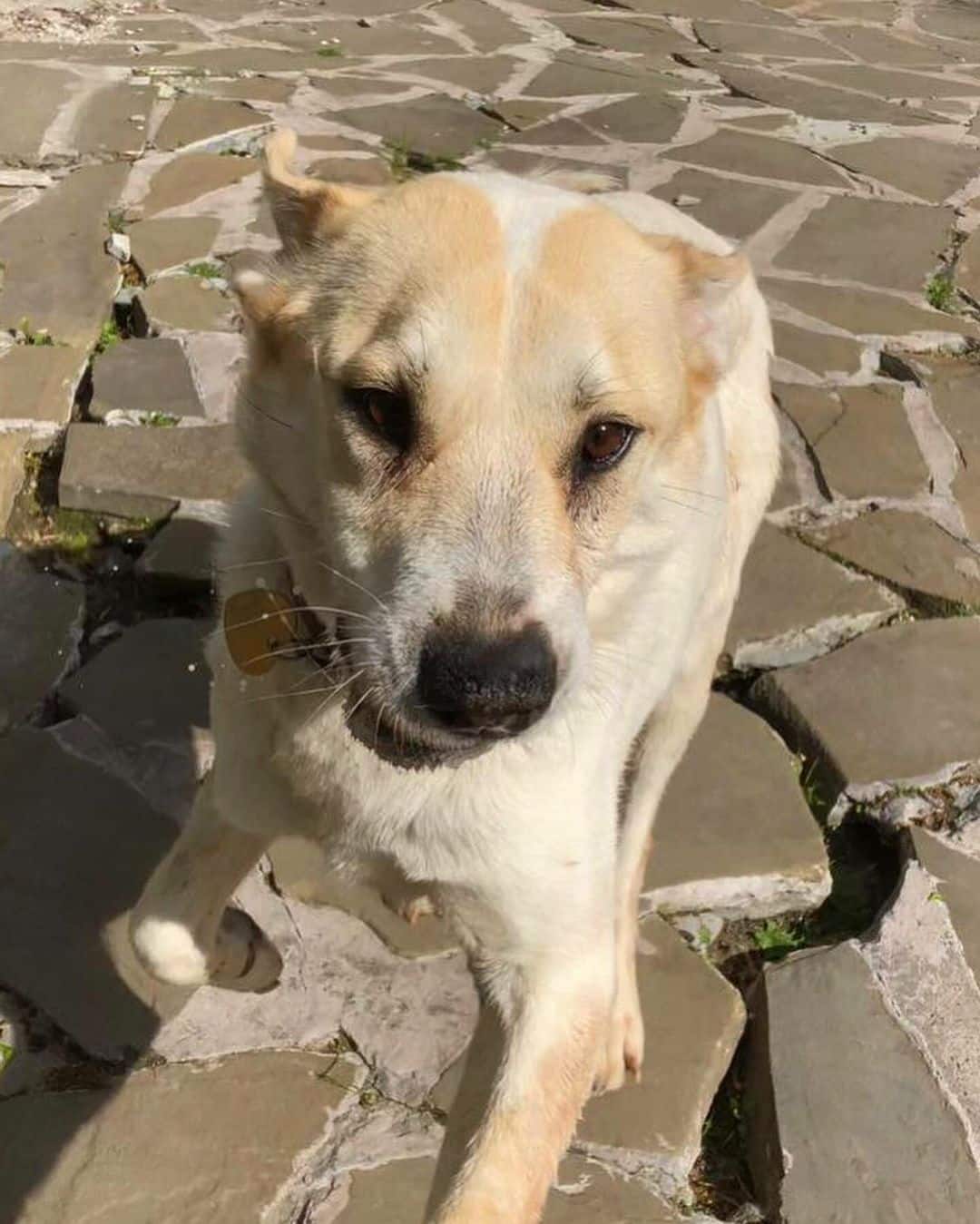 Extra image from article