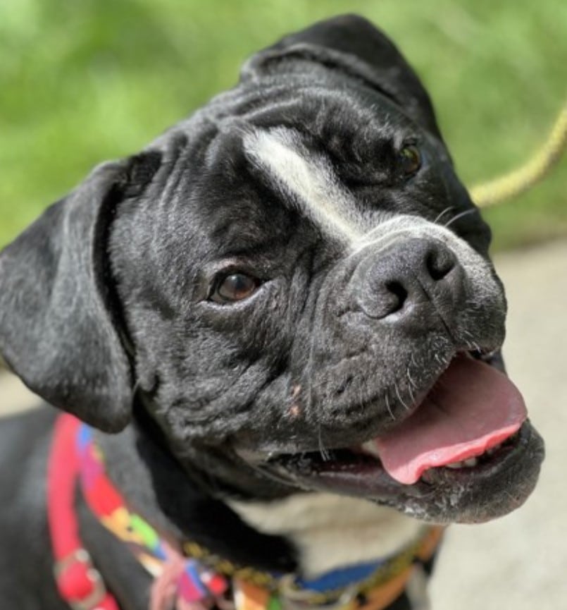 Extra image from article