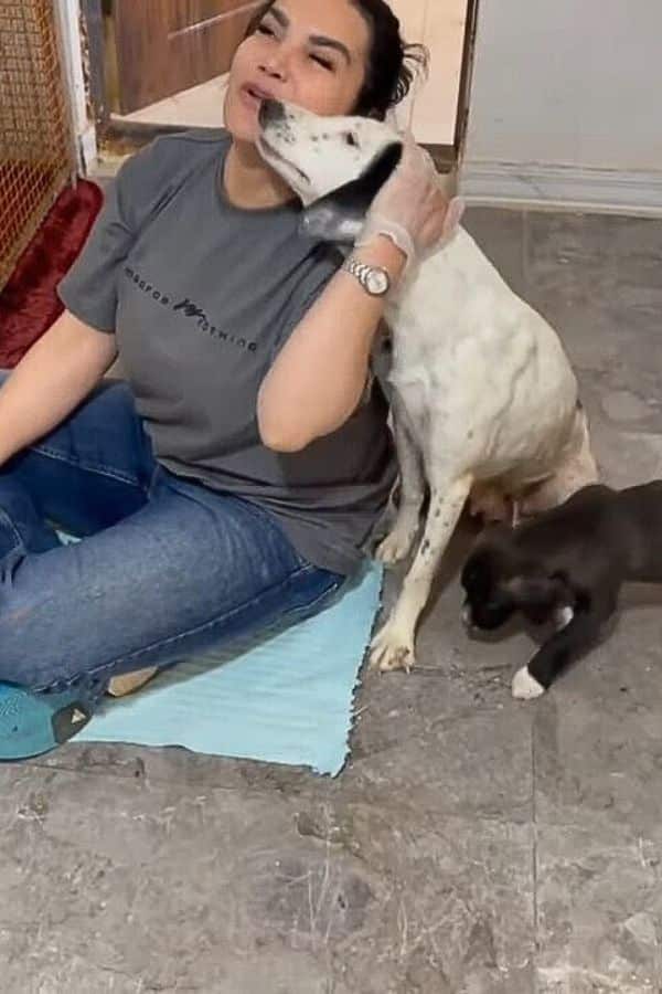 Extra image from article