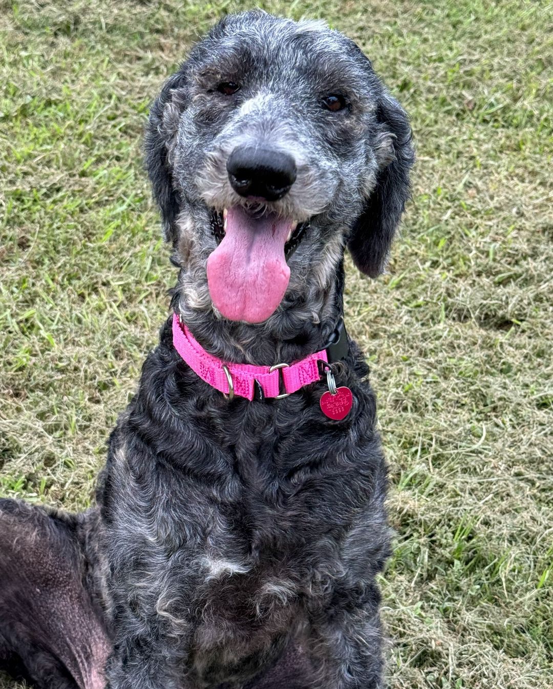 Extra image from article