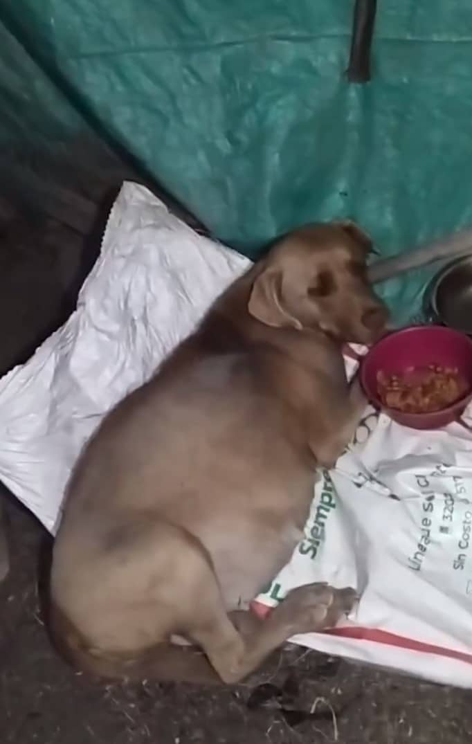 The hope remains that, in due time, each...