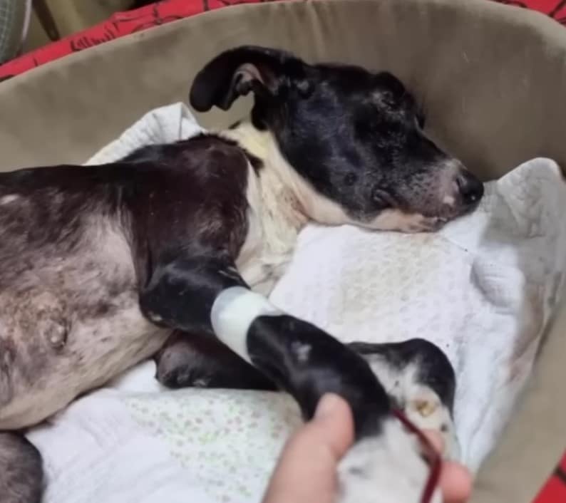 Extra image from article