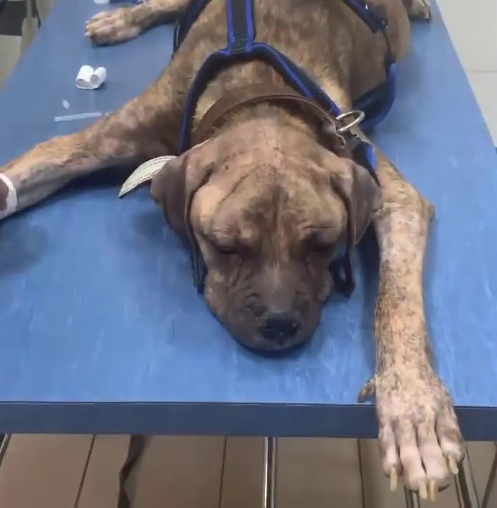 Extra image from article