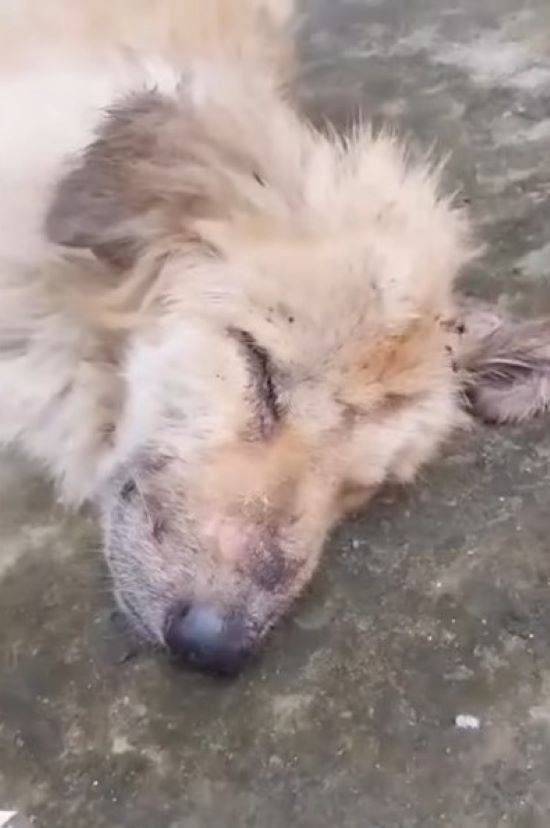 Extra image from article