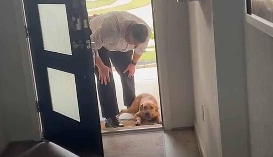 Noah quickly became Buddy’s favorite, an...