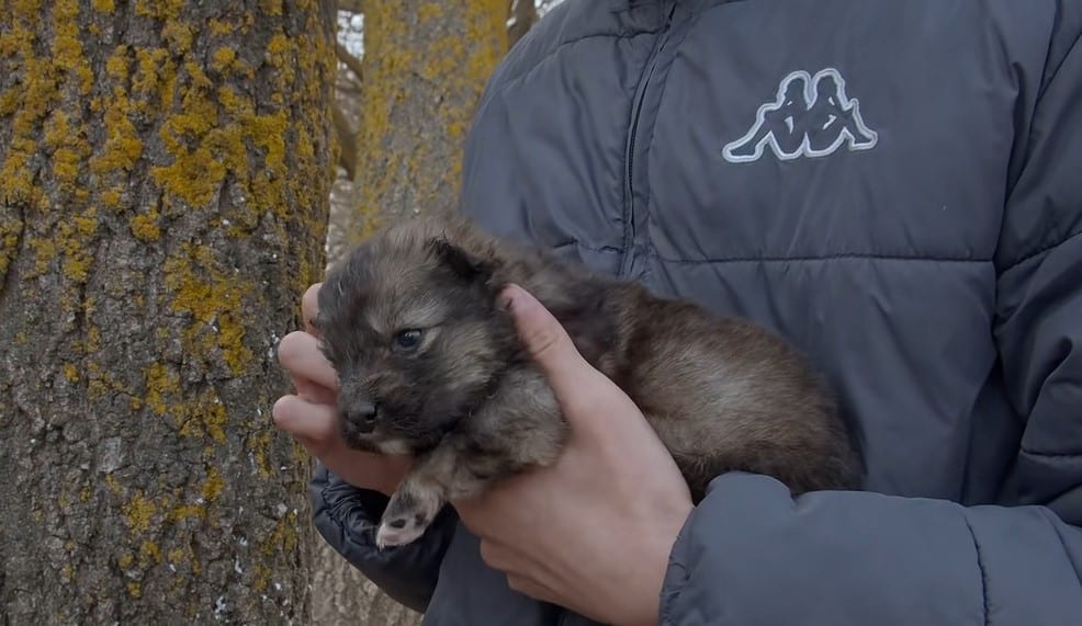 In the safety of their vehicle, the team...