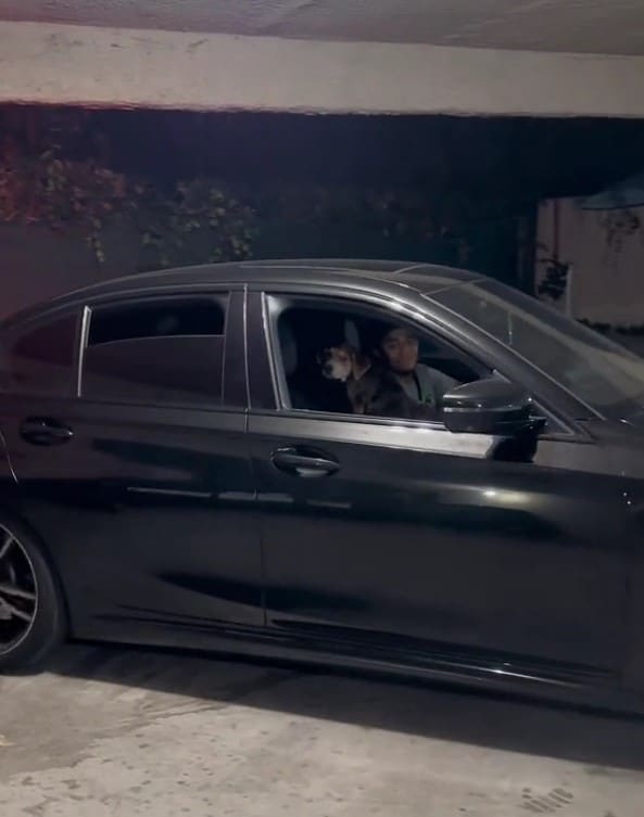 The day following this rescue, Viv provi...