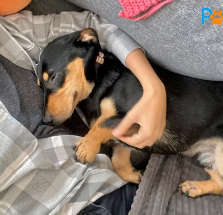 Extra image from article