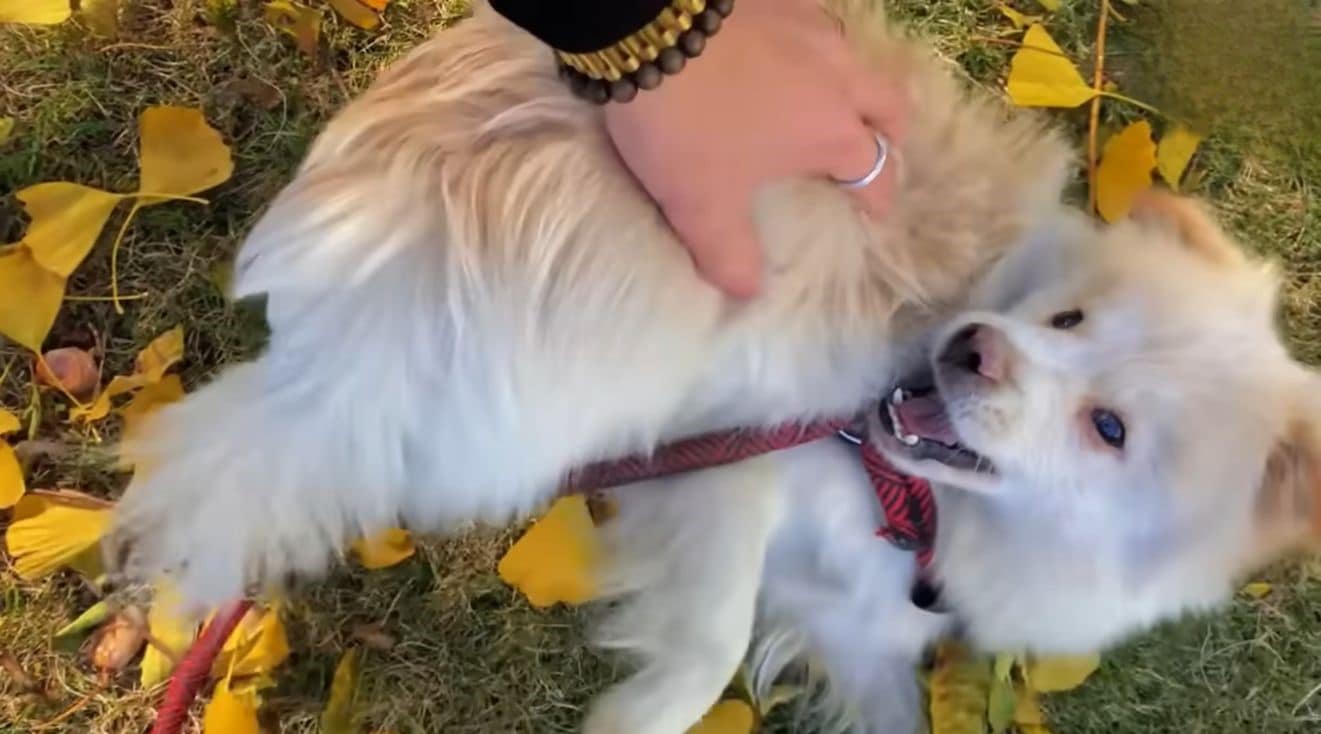 Extra image from article