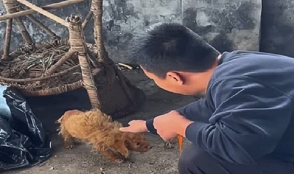 Extra image from article